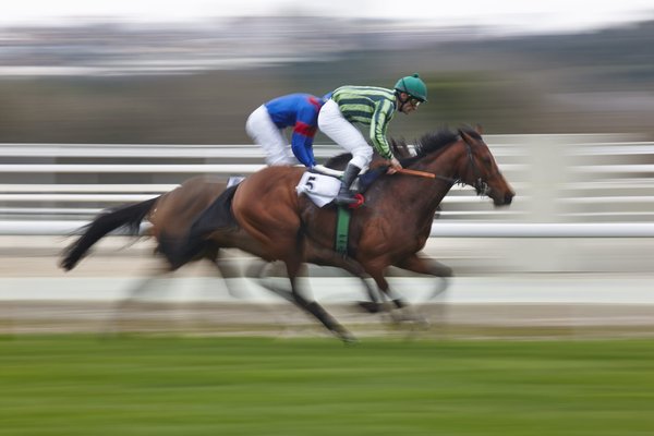 Quelles stratégies gagnantes pour le Prix d'Amérique PMU 2024 ?